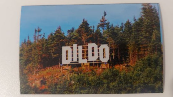 Dildo Hill Sign Photo Magnet