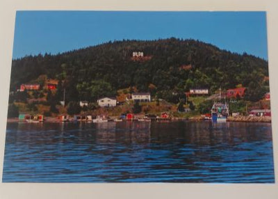Dildo Cove with Dildo Hill Sign in Distance Post Cards