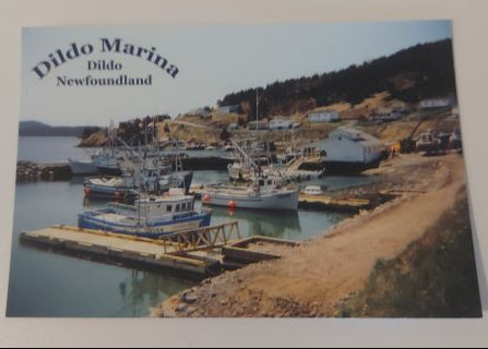 Dildo Marina Post Card