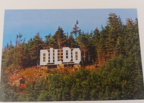 Dildo Hill Sign Photo Post Card