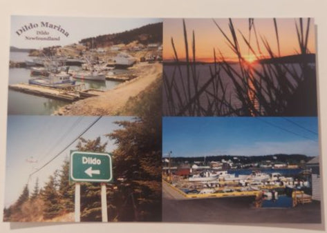 Dildo Scenic Collage Post Card
